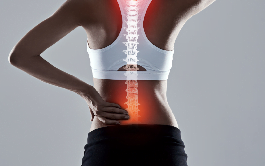 The Office Chair and Your Spine